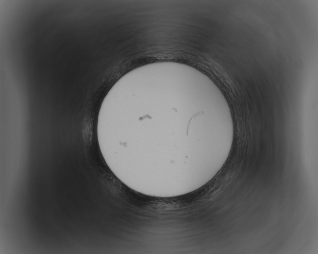 X0000100470697200807111041