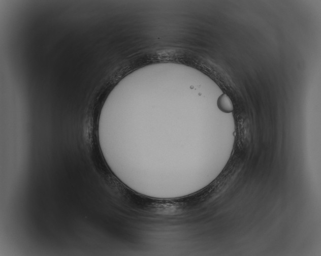 X0000100470698200807111041