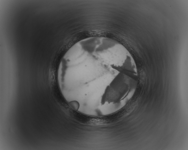 X0000100470699200807111041