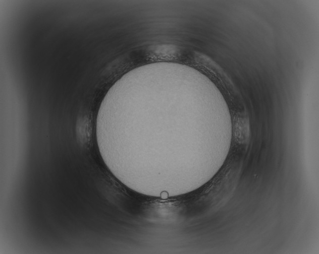 X0000100470701200807111041