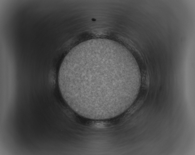 X0000100470710200807111041