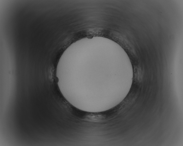 X0000100470712200807111041