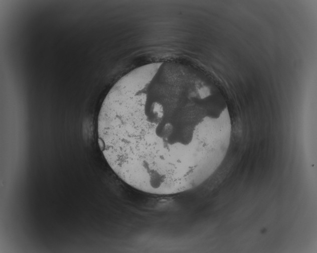 X0000100470715200807111041