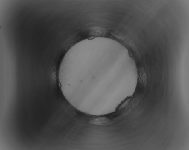 X0000100470716200807111041