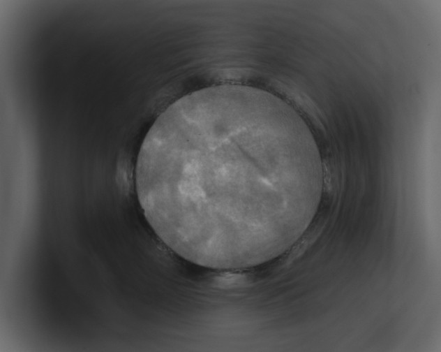 X0000100470718200807111041