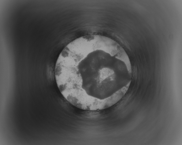 X0000100470719200807111041