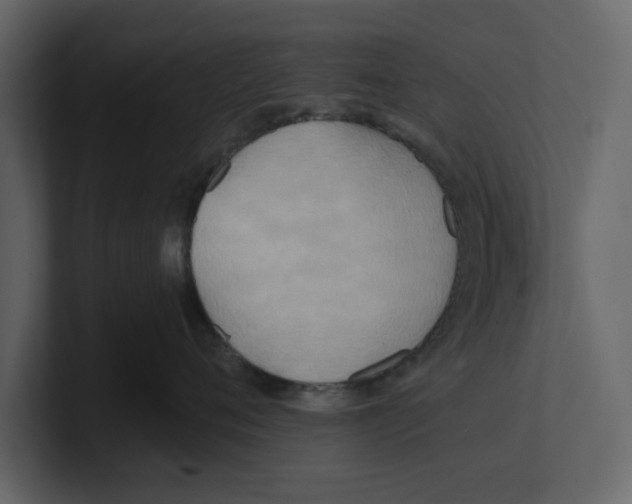 X0000100470720200807111041