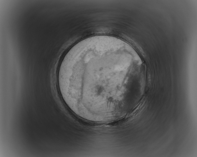 X0000100470721200807111040