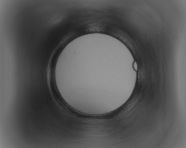 X0000100470722200807111040