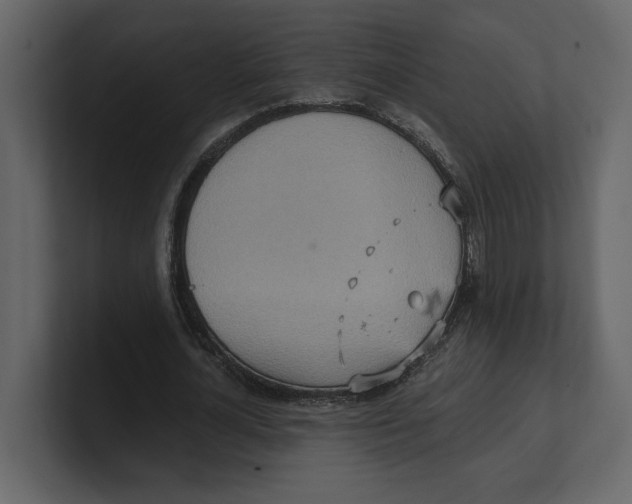 X0000100470724200807111040