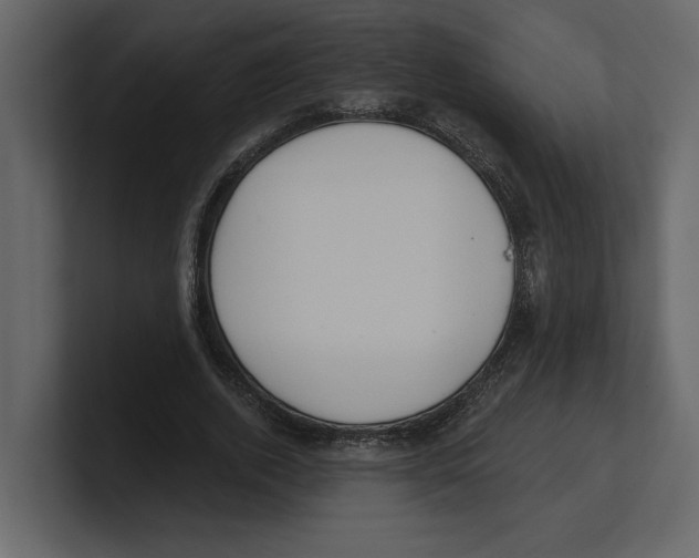 X0000100470728200807111040