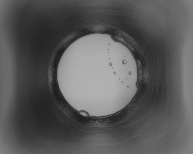 X0000100470732200807111040