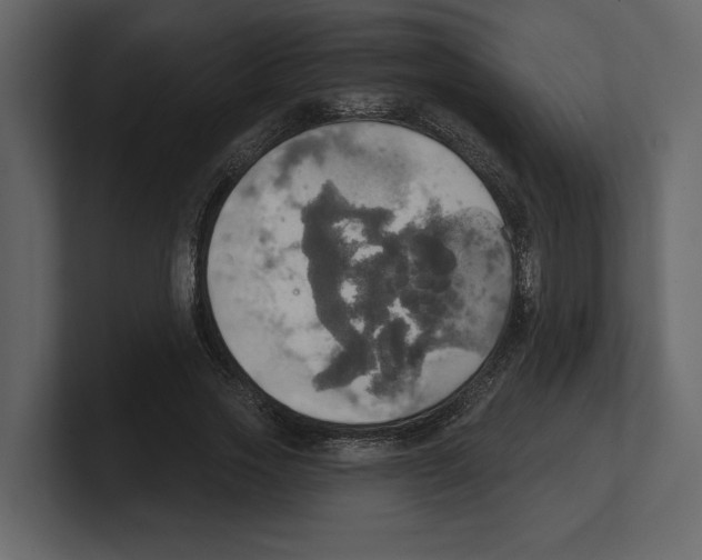 X0000100470733200807111040