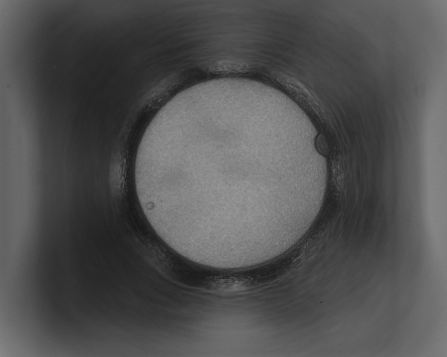 X0000100470735200807111040