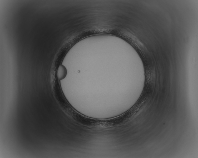 X0000100470736200807111040