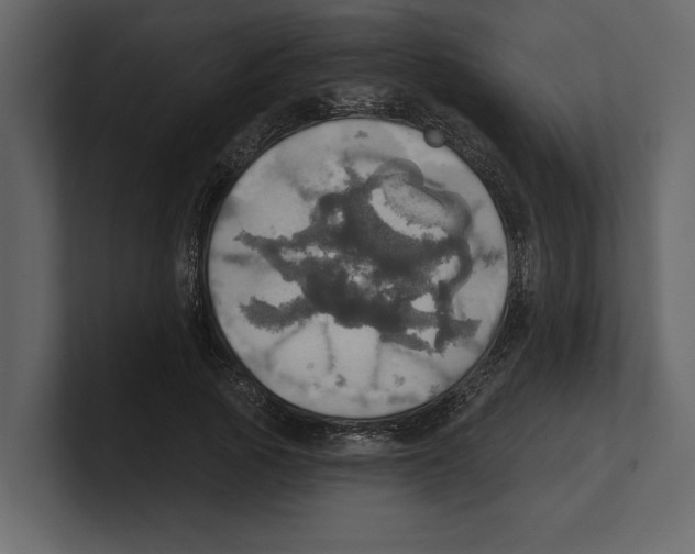 X0000100470737200807111040