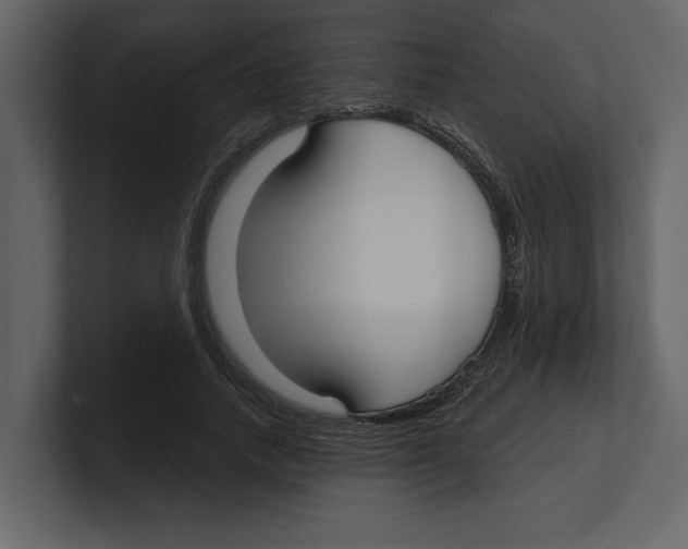 X0000100470738200807111040