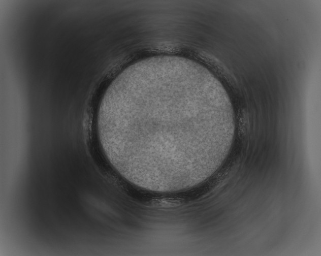 X0000100470739200807111040