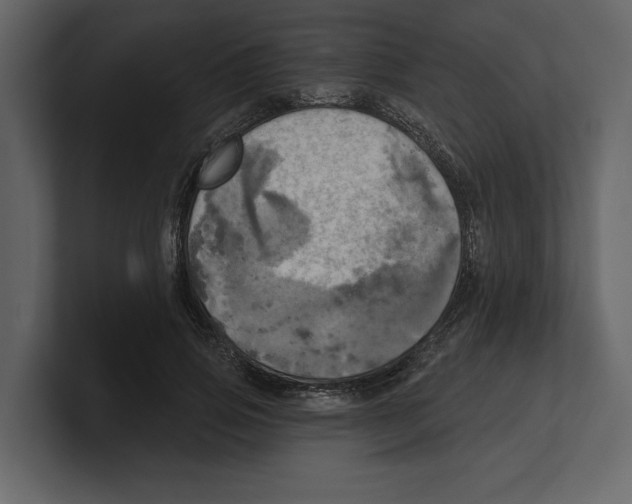 X0000100470741200807111040