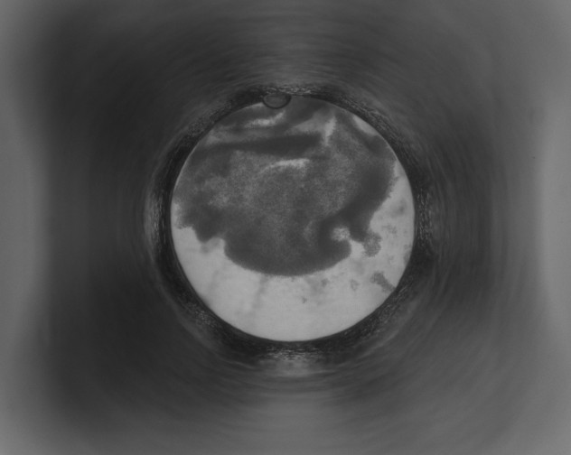 X0000100470742200807111040