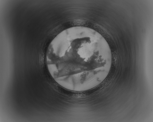 X0000100470745200807111040