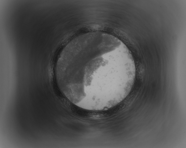 X0000100470746200807111040