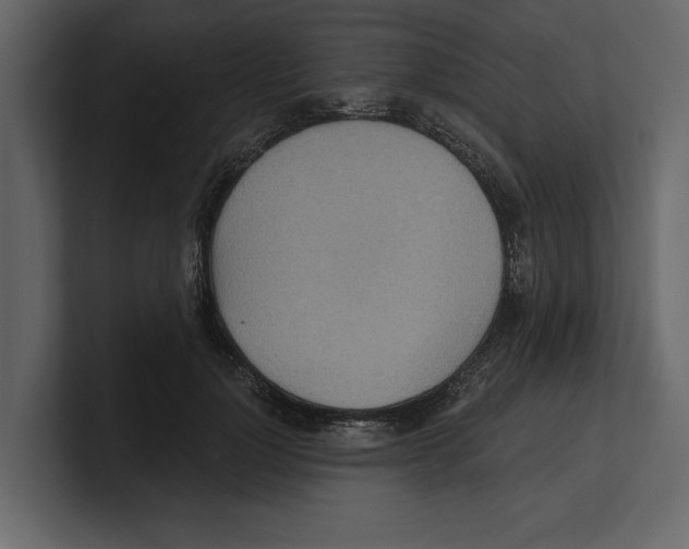 X0000100470748200807111041