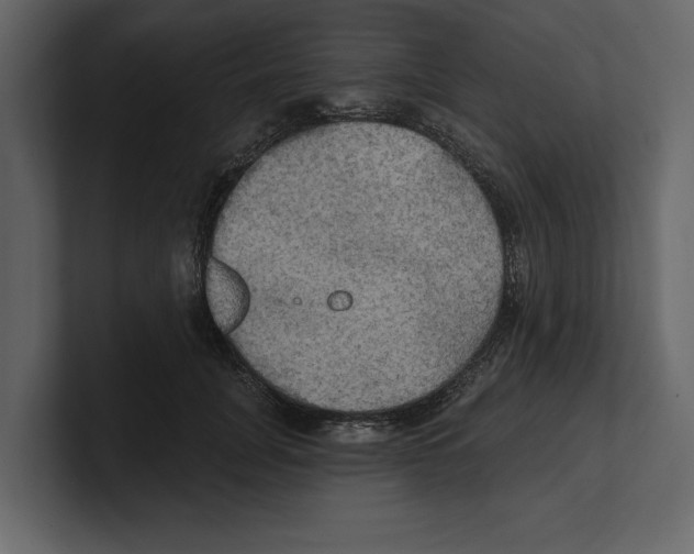 X0000100470751200807111041