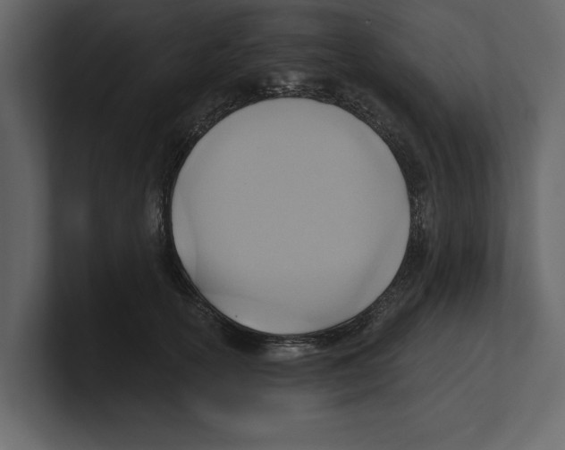 X0000100470754200807111041