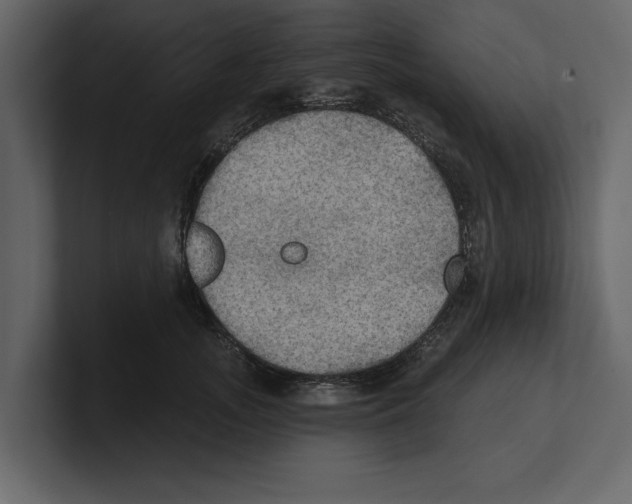 X0000100470755200807111041