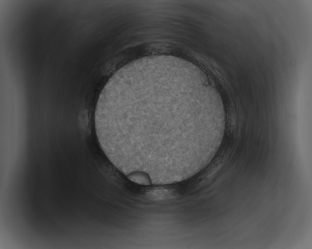 X0000100470759200807111041