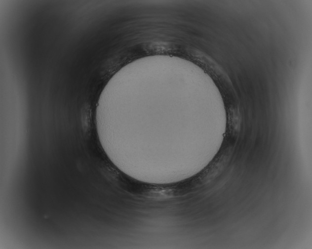 X0000100470760200807111041