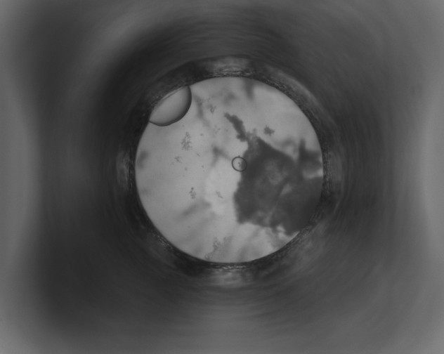 X0000100470761200807111041