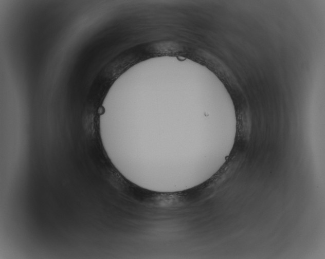 X0000100470762200807111041