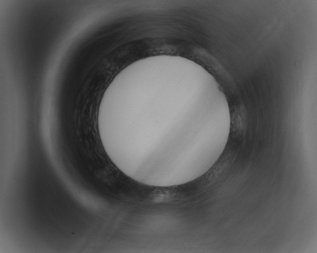 X0000100470764200807111041