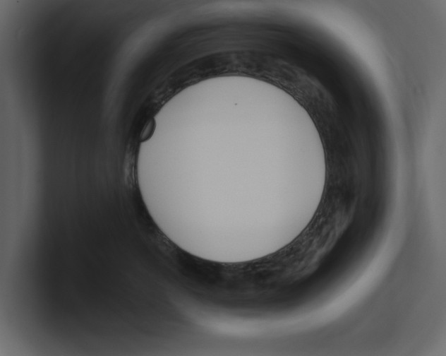 X0000100470766200807111041