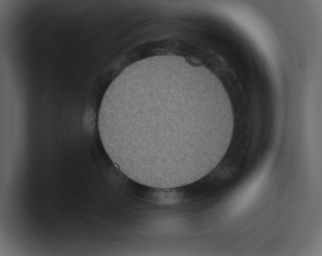 X0000100470767200807111041