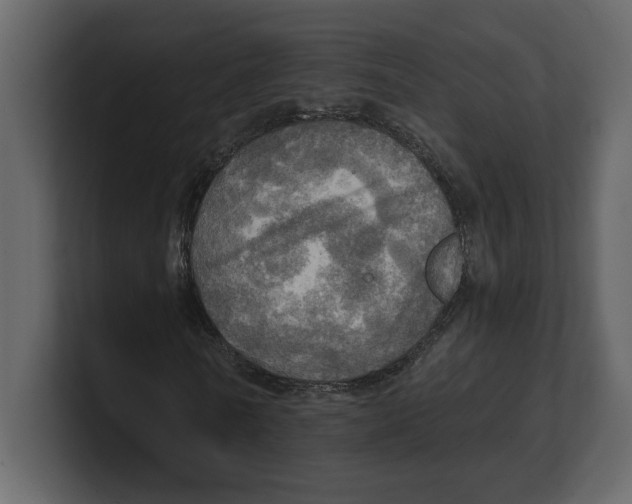 X0000100470770200807111040