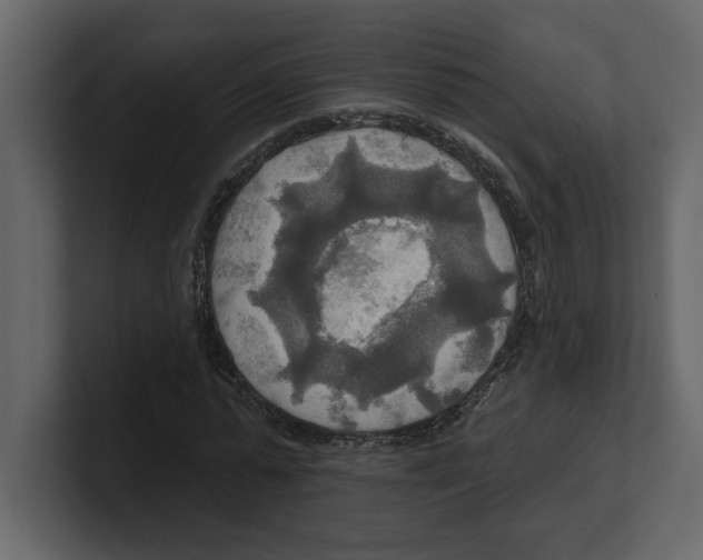 X0000100470775200807111040