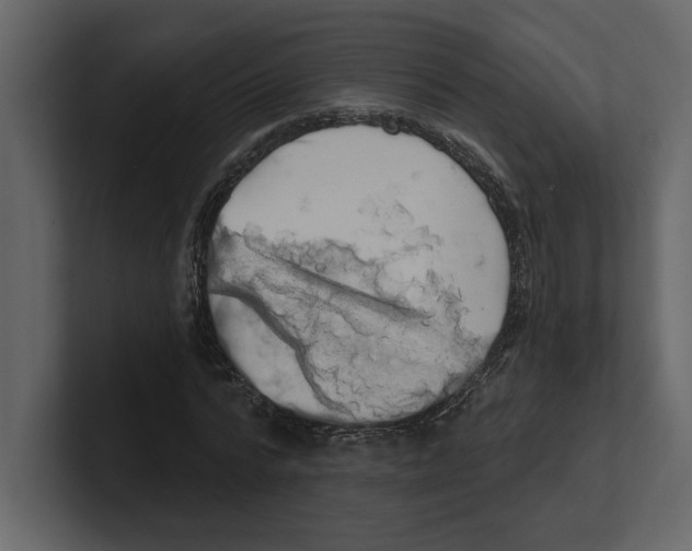 X0000100470776200807111040