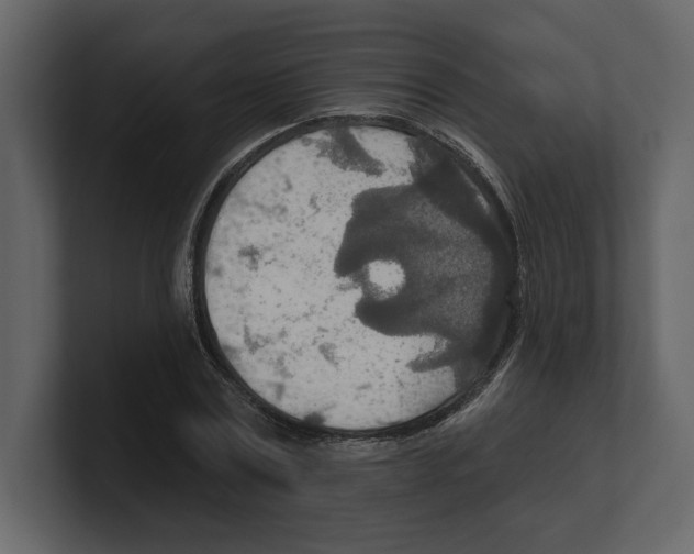 X0000100470779200807111040