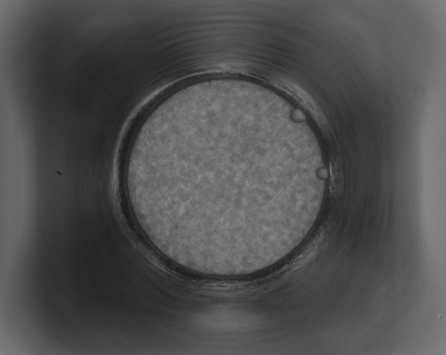 X0000100470780200807111040