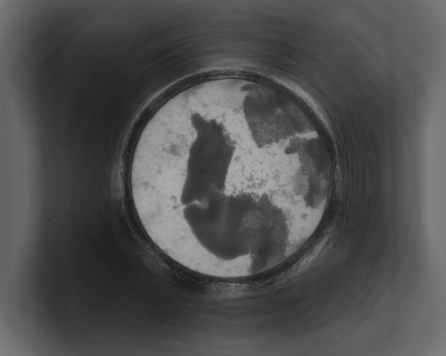 X0000100470783200807111040