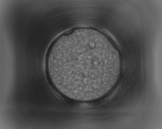 X0000100470787200807111040