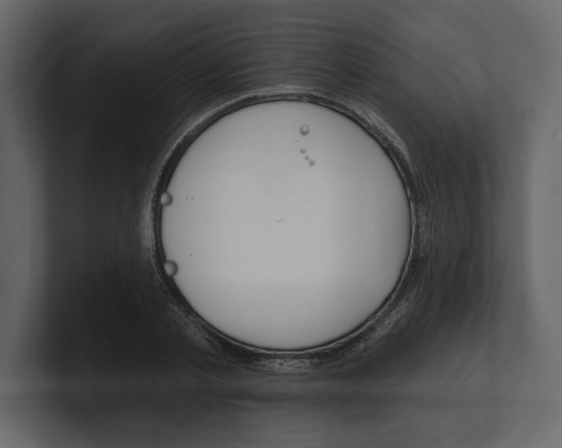 X0000100470789200807111040