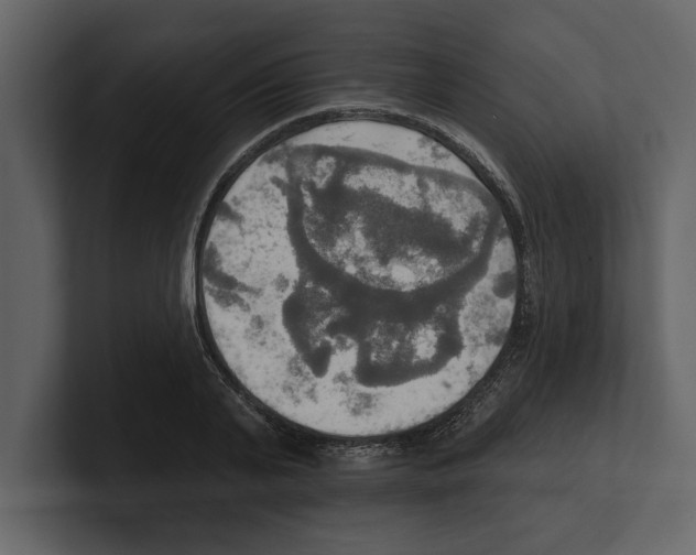 X0000100470791200807111040