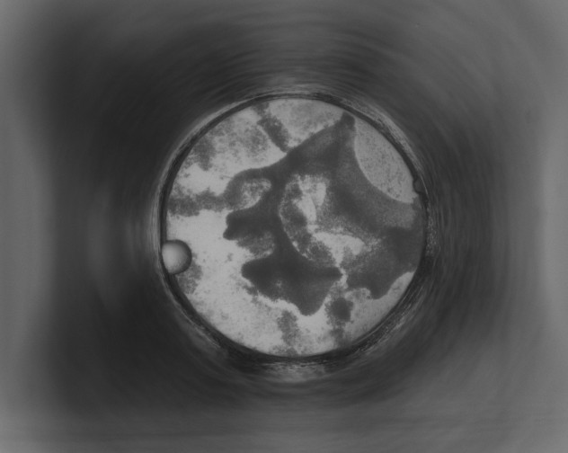 X0000100470795200807111040