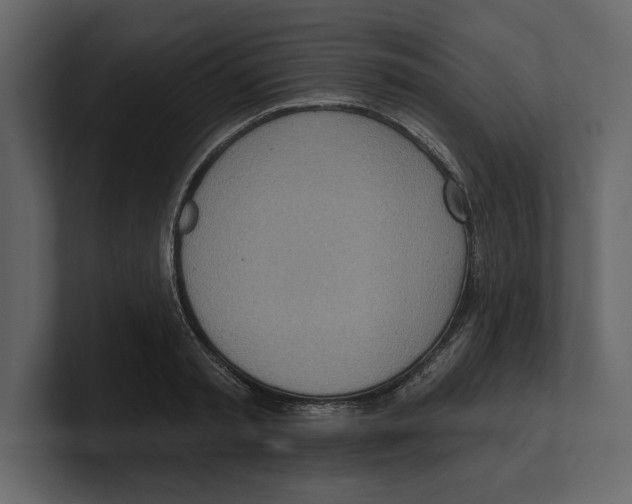 X0000100470797200807111040