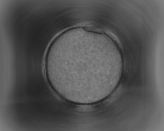 X0000100470800200807111040