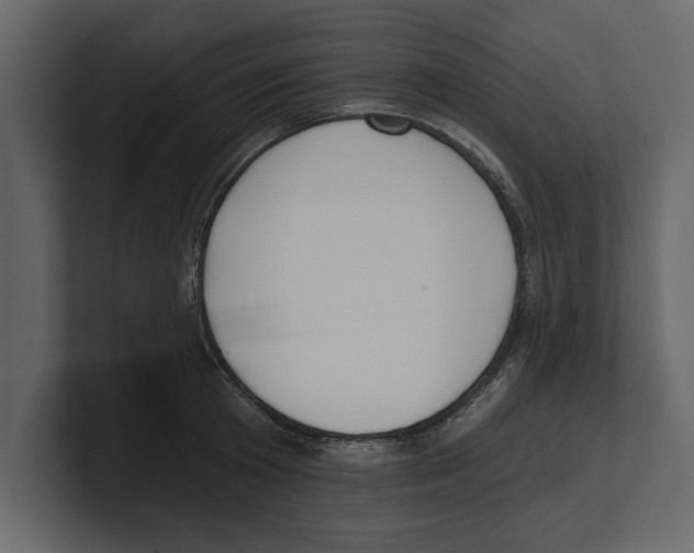 X0000100470801200807111040